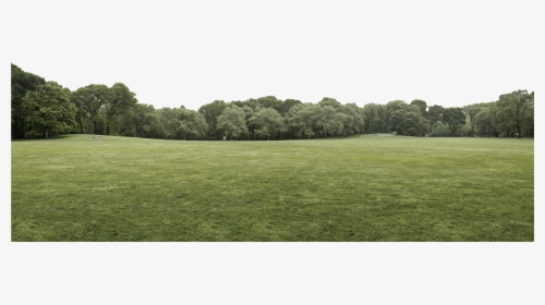 Header Tree Layer - Grass, HD Png Download, Free Download