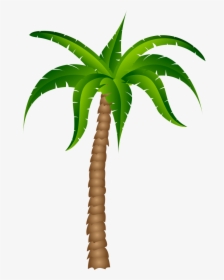 Palm Tree Palm Best Clipart - Transparent Palm Tree Clipart, HD Png Download, Free Download