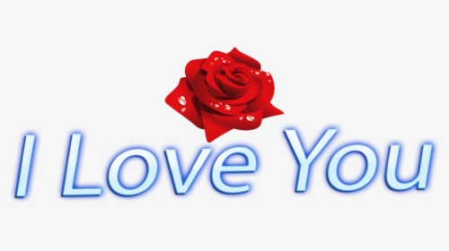 I Love You Png Rose Images - Love You Images Transparent, Png Download, Free Download