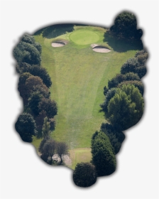 Tree - Great Salterns Golf Course, HD Png Download, Free Download