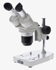Binocular Stereoscopic Microscope Png, Transparent Png, Free Download