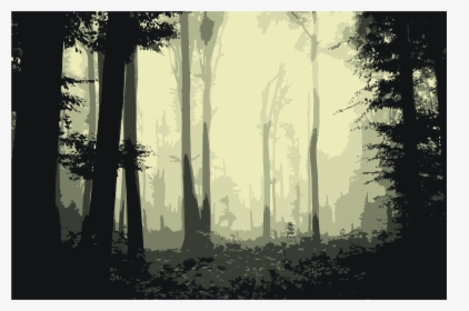 Old-growth Forest, HD Png Download, Free Download