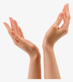 Hands In The Air Png - Hands Png, Transparent Png, Free Download