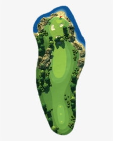 Hole 6 Map - Tree, HD Png Download, Free Download