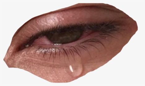 #eye #crying #artsy #cutout #freetoedit - Niche Meme Png Fillers, Transparent Png, Free Download