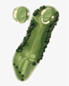 Hole 12 Map - Grass, HD Png Download, Free Download