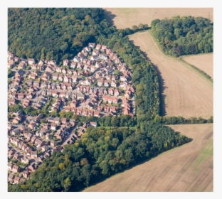 Tree Aerial View Png, Transparent Png, Free Download