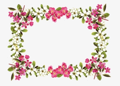 Floral Border Png - Flower Frame Transparent Background, Png Download, Free Download