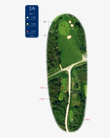 Hole 3a - Tree, HD Png Download, Free Download