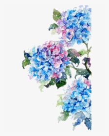 Transparent Watercolor Flower Border Png - Watercolor Flower Hydrangea, Png Download, Free Download