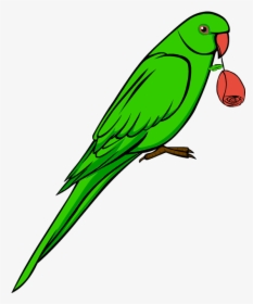 Transparent Parrot Clipart - Clipart Image Of Parrot, HD Png Download, Free Download