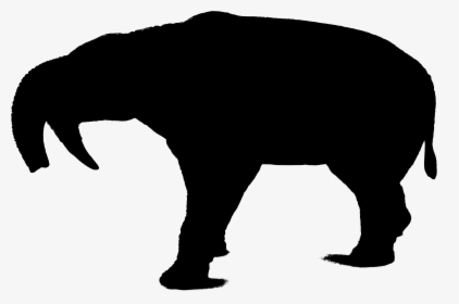 Wolf Silhouette Indian Elephant Bear Art - Angry Wolf Silhouette, HD Png Download, Free Download
