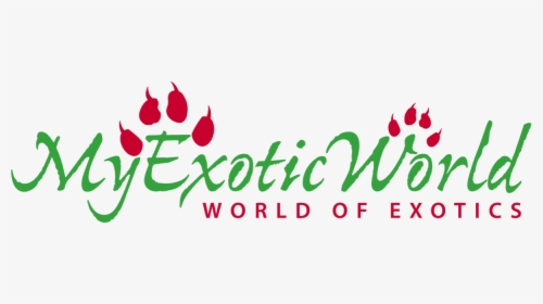 My Exotic World - Graphic Design, HD Png Download, Free Download