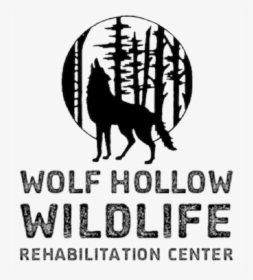 Wolf Hollow Wildlife Rehabilitation Centre Logo - Wolf Hollow Wildlife, HD Png Download, Free Download