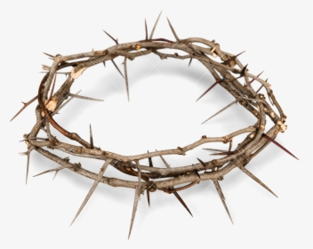 Crown Of Thorns Png Free Background - Transparent Background Crown Of Thorns Png, Png Download, Free Download