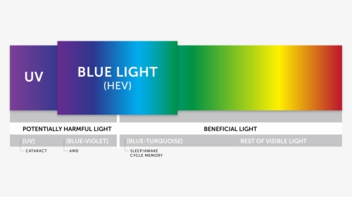 Image Of Blue Light Shown In Light Spectrum - 458 Nm Light, HD Png Download, Free Download