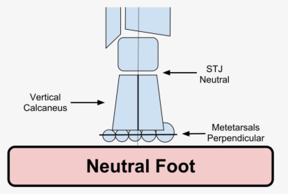 Neutral Foot Alignment - Forefoot To Rearfoot Alignment, HD Png Download, Free Download