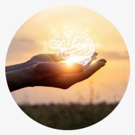 Hands Holding Illustration Of Brain - No Health Without Mental Health 2019, HD Png Download, Free Download