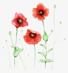 Watercolor Painting Flower Red - Watercolor Flowers In Transparent Background, HD Png Download, Free Download