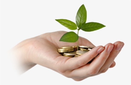 Money In Hand Png, Transparent Png, Free Download