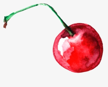 #food #berry #cherry #red #sweet #berries #watercolors - Watercolor Cherry Png, Transparent Png, Free Download