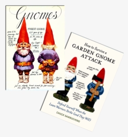Transparent Gnome Hat Png - David De Kabouter Rien Poortvliet, Png Download, Free Download