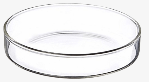 Petri Dishes Made Of Glass Can Be Sterilized By An - Bangle, HD Png Download, Free Download