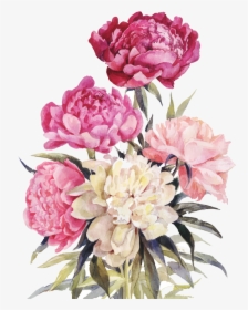 Peony Bouquet Png - Watercolor Peony Drawing, Transparent Png, Free Download