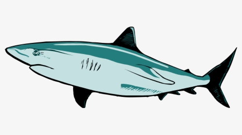 - Great White Shark Shark Vector Clipart , Png Download - Shark, Transparent Png, Free Download