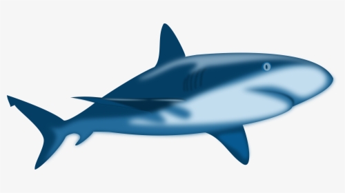 Shark Shaded Clip Arts - Great White Shark Dragon, HD Png Download, Free Download