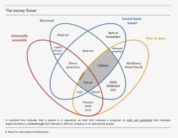 Money Flower A Taxonomy Of Money, HD Png Download, Free Download