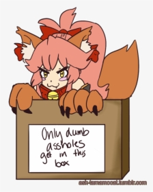 Oh No Wann Tamamo Cat Ate So Much Food On Thanksgiving - Fate Grand Order Tamamo Memes, HD Png Download, Free Download
