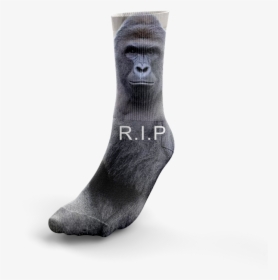 Image Of Rip - Sock, HD Png Download, Free Download