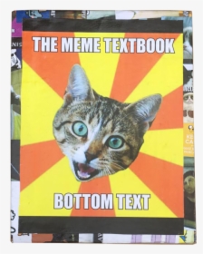 Funny School Cat Memes, HD Png Download, Free Download