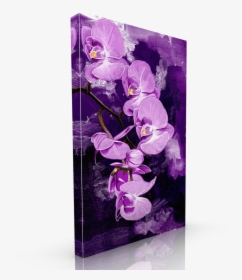 Purple Orchid - Sweet Pea, HD Png Download, Free Download