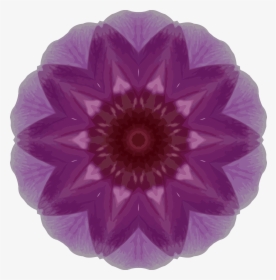 Orchid Kaleidoscope 1 Clip Arts - Plastic, HD Png Download, Free Download