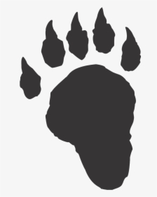 Transparent Volleyball Silhouette Png - Foresters Lake Forest College, Png Download, Free Download