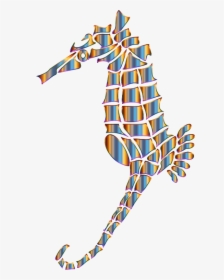 Chromatic Stylized Seahorse Silhouette No Background - Seahorse, HD Png Download, Free Download