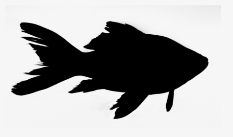 Friday Night Fish Fry - Fish Silhouette Png, Transparent Png, Free Download