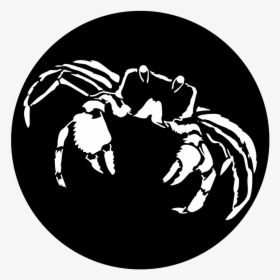 Apollo Sea Crab - Illustration, HD Png Download, Free Download