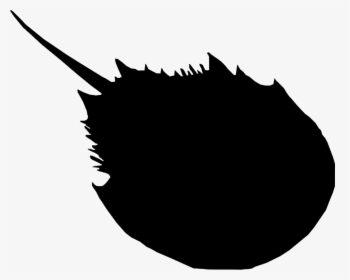 Horseshoe Crab Silhouette - Illustration, HD Png Download, Free Download