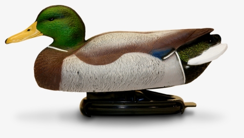 Spring Back Decoys, HD Png Download, Free Download