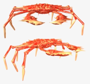 Crab Png - Freshwater Crab, Transparent Png, Free Download