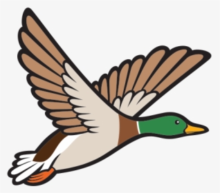 Goose Clipart Bird Fly - Mallard Duck Clip Art, HD Png Download, Free Download