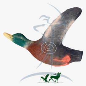 Leitold 3d-target Flying Duck - Vaux S Swift, HD Png Download, Free Download