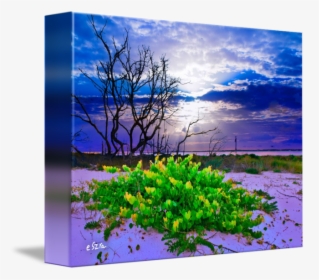 Clip Art Green Landscape Grape Cloud - Wildflower, HD Png Download, Free Download