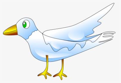 Seabird, HD Png Download, Free Download