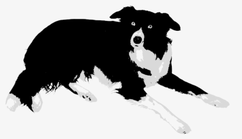 Border Collie Rough Collie Bearded Collie Old English - Cute Border Collie Clipart, HD Png Download, Free Download