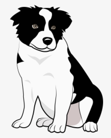 Boder Collie - Collie Pup Art, HD Png Download, Free Download