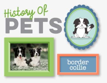 History Of Pets, HD Png Download, Free Download